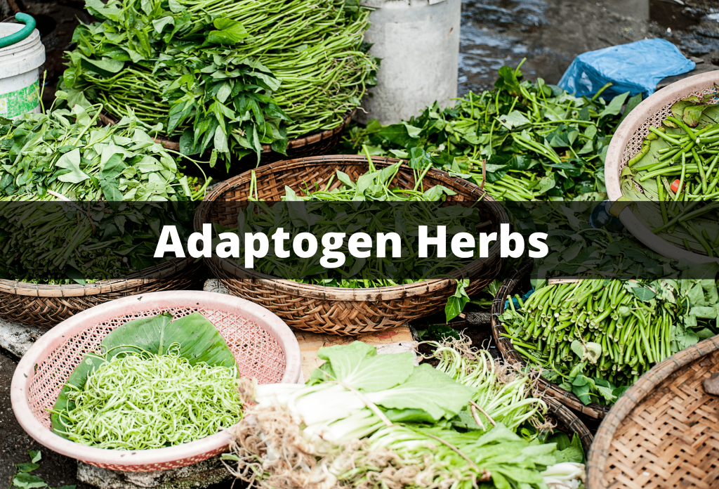 Benefits of Adaptogen Herbs