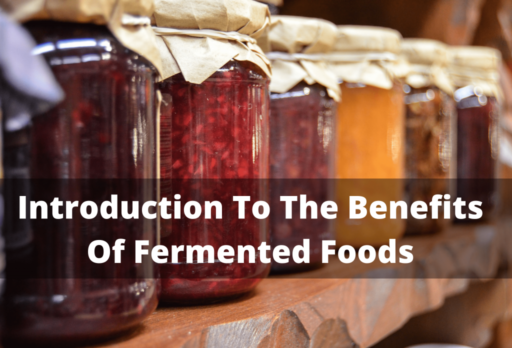 Introduction To The Benefits Of Fermented Foods